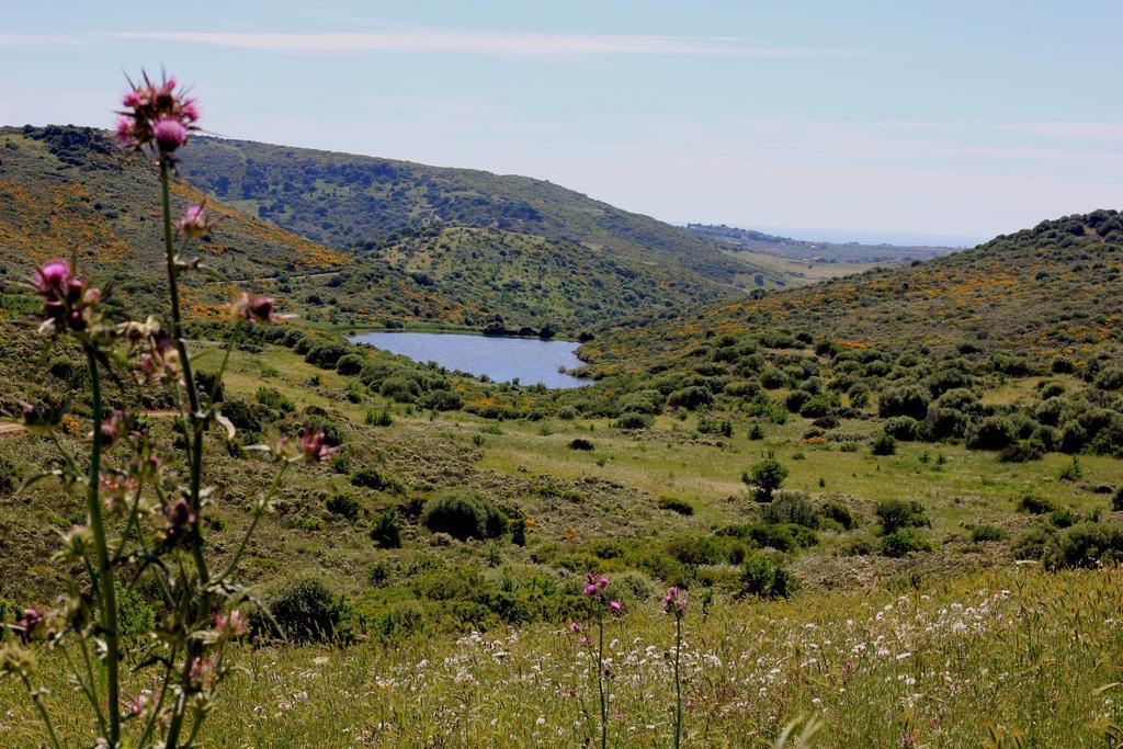 Aldeamento Turístico Monte Ricciu